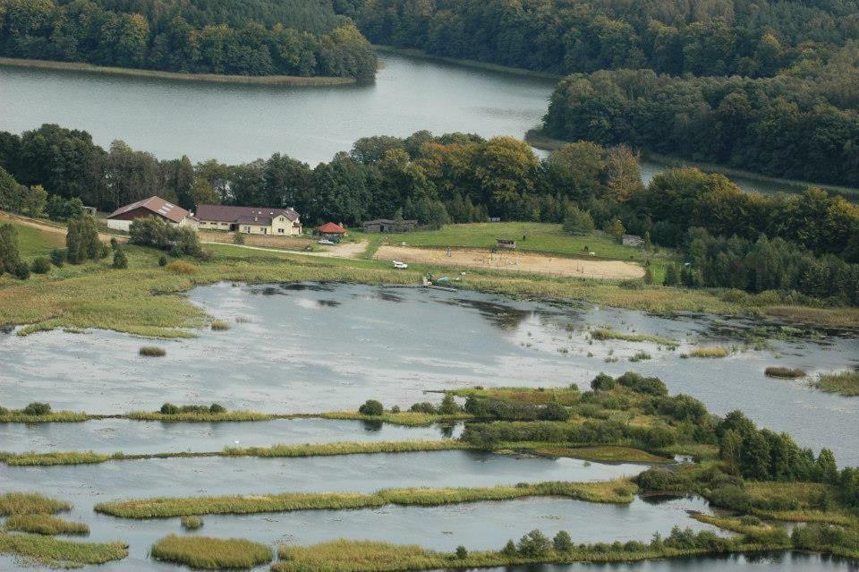 Stajnia Grazyny Mikorowo 46 Czarna Dabrowka Exterior foto